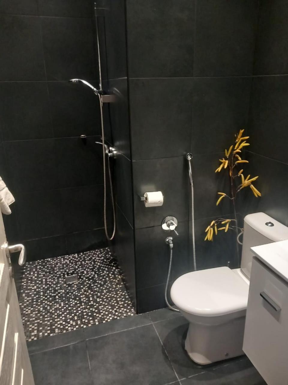 Studio "11"Near Monaco Beausoleil Εξωτερικό φωτογραφία